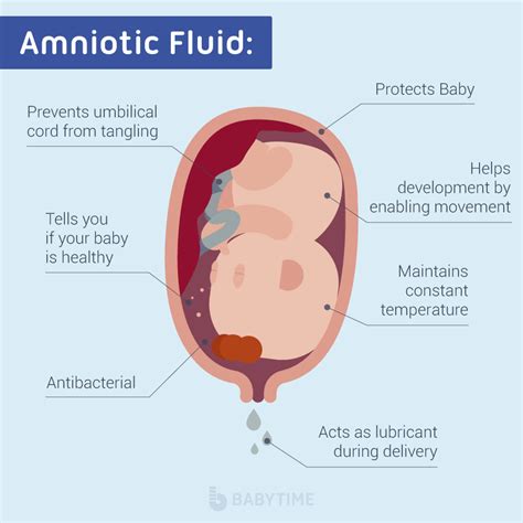 amniotic fluid sticky|Amniotic Fluid: What is It and Signs of Leaking